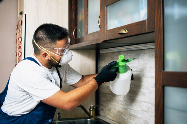 Best Residential Pest Control  in Duvall, WA