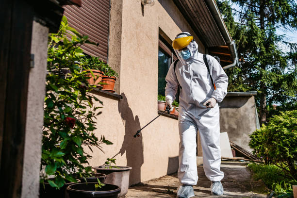 Best Pest Control Near Me in Duvall, WA