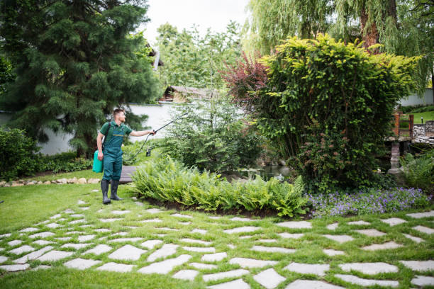 Best Pest Removal Services  in Duvall, WA