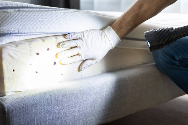 Reliable Duvall, WA Pest Control Solutions